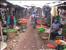 allée du marché de Djougou